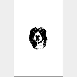 Bernese Mountain Dog Art Posters and Art